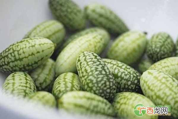 种植什么赚钱？2018年种植什么最赚钱？