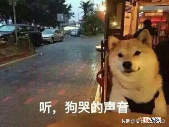 哪里有不懂浪漫的人 不懂浪漫的人