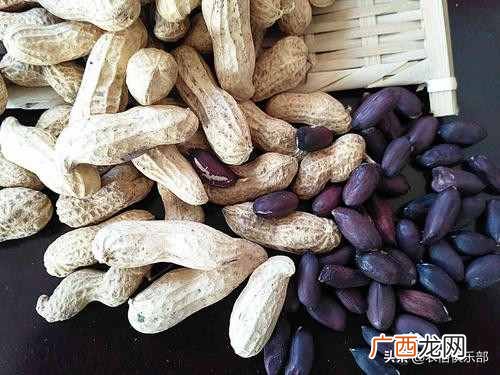 种植种什么赚钱？种啥最赚钱？