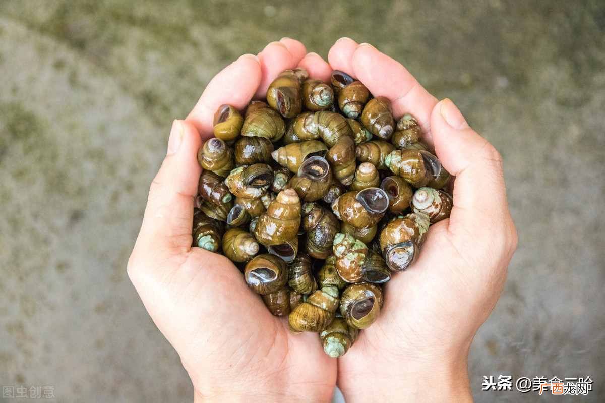 田螺怎么洗最快最干净？洗田螺时，牢记这1浸泡2勾虫