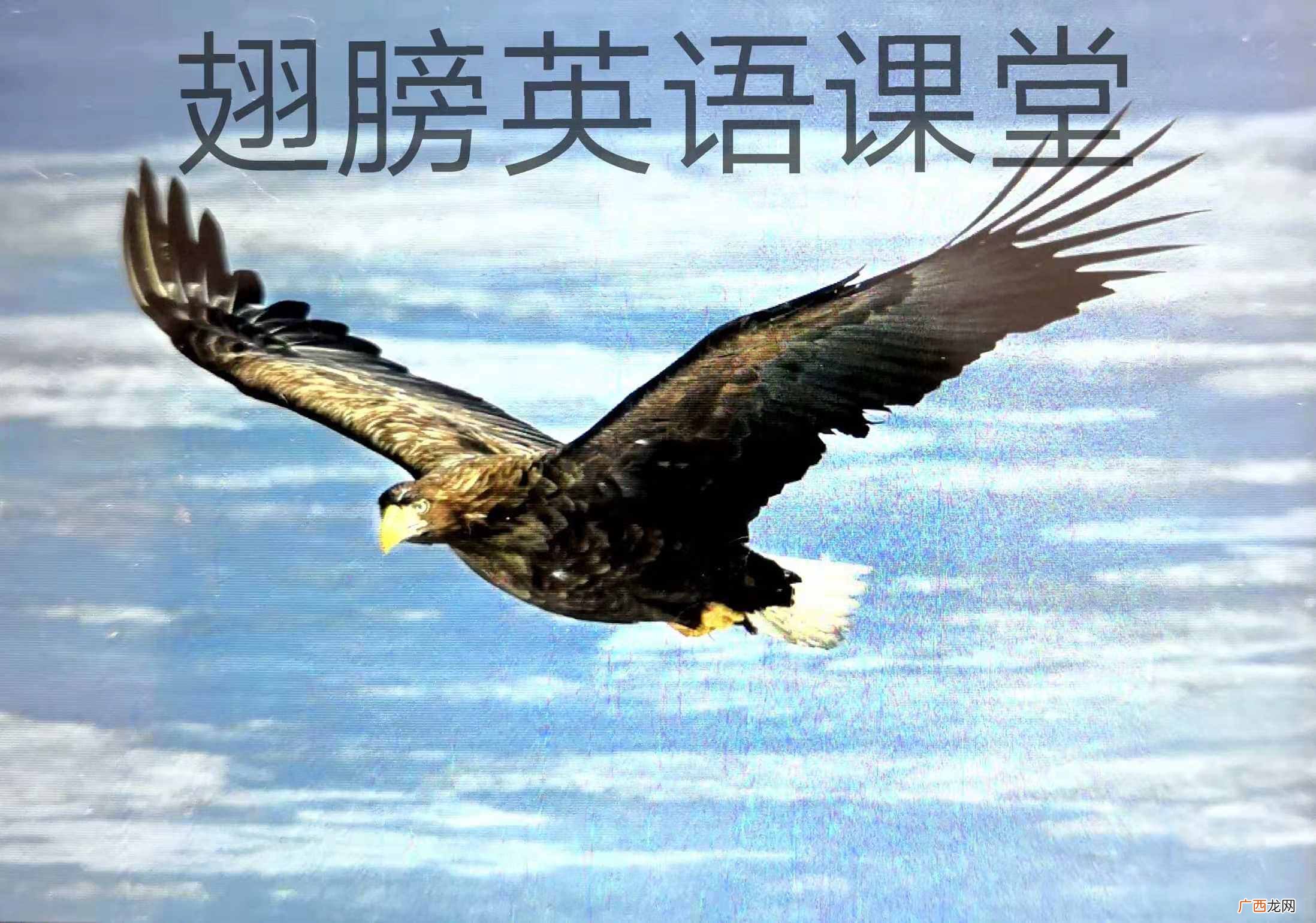 WILL什么意思？重点词汇：will用法讲解