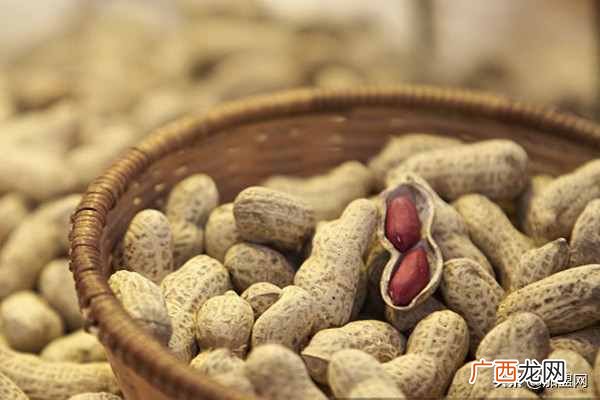 什么加工厂赚钱？小作坊加工什么挣钱