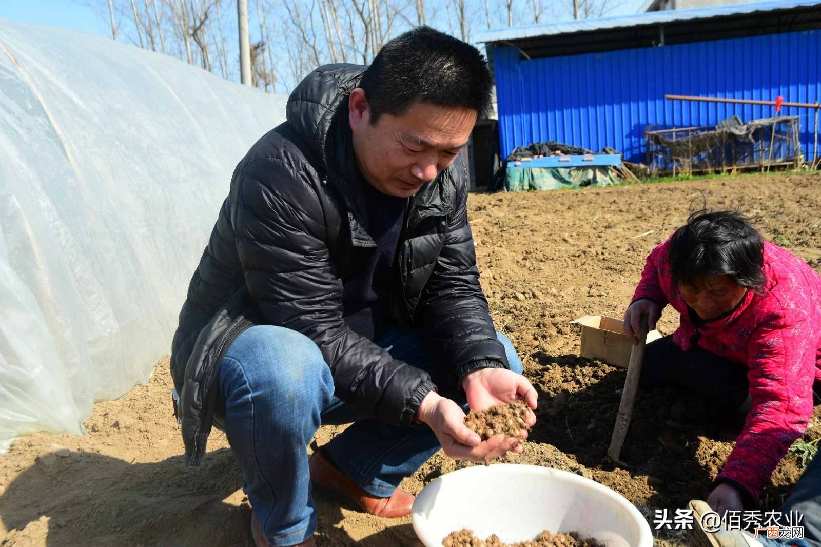 种药材赚钱吗？农村人种植中药材