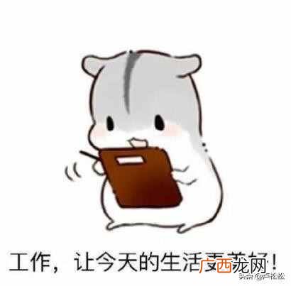 网站可以赚钱吗？都说做网站能够赚钱？说说我的亲身经历