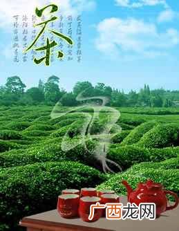 茶叶排行榜？中国的十大名茶排行榜