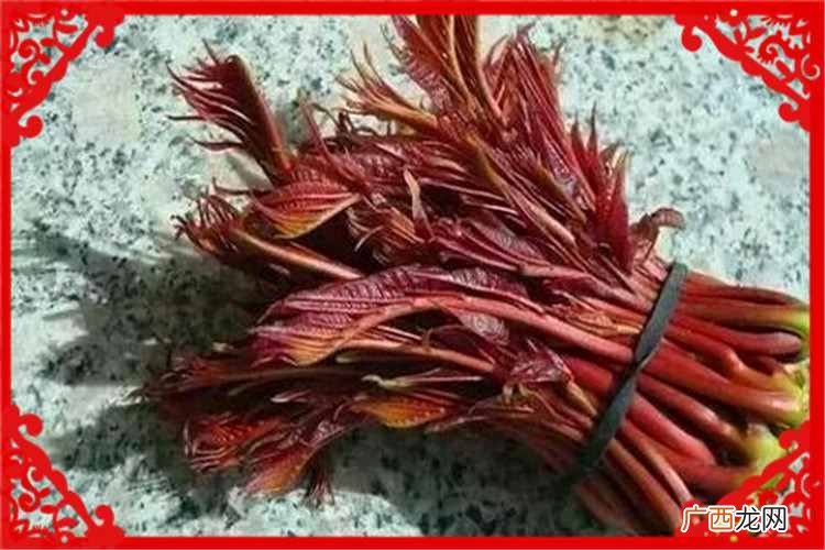种植业什么最赚钱？当前农村种植什么好？