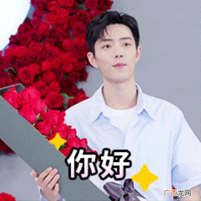 肖战小玫瑰，肖战与小玫瑰系列表情包上线各种小表情超可爱