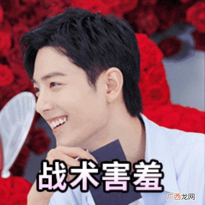 肖战小玫瑰，肖战与小玫瑰系列表情包上线各种小表情超可爱