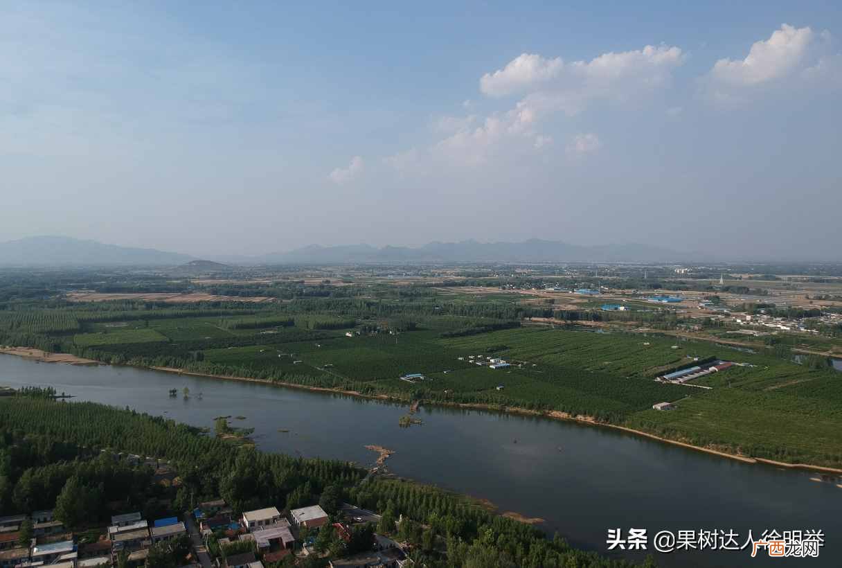 桃园怎么赚钱？桃园建好能赚钱的第一步