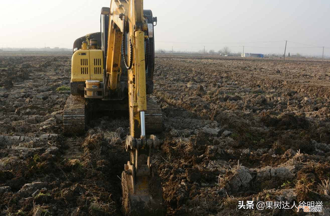 桃园怎么赚钱？桃园建好能赚钱的第一步