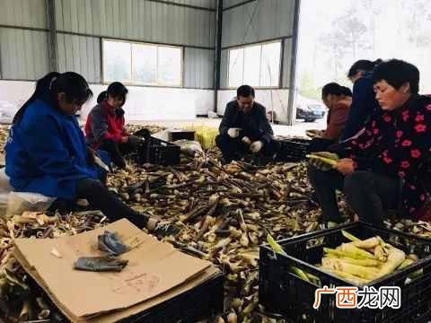 经营农场赚钱？农场的10大盈利点