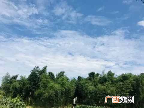 经营农场赚钱？农场的10大盈利点