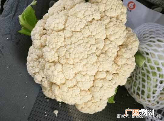 农场种蔬菜赚钱？农村种菜好项目，这几种菜赚钱简单易种植