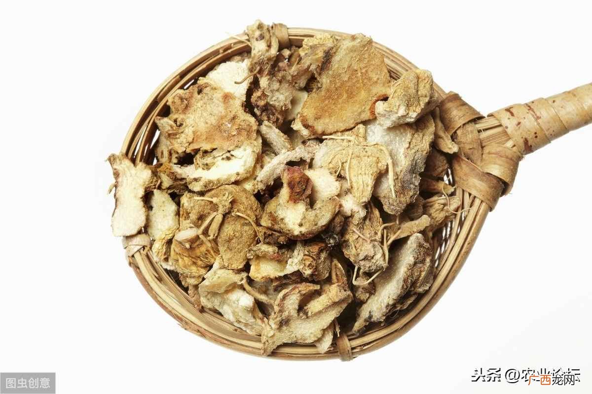 种植白芨赚钱吗？2019年投资种植10亩白芨大约能赚多少钱？