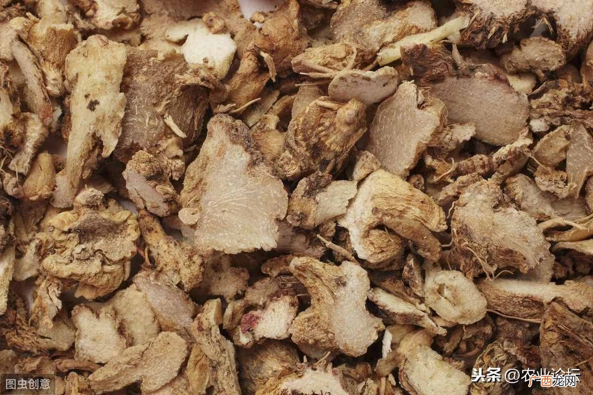 种植白芨赚钱吗？2019年投资种植10亩白芨大约能赚多少钱？