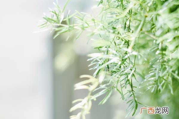 白羊座试探你心意的表现，能够试探出白羊座的真心呢