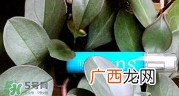 sum37苏秘御时保湿喷雾多少钱_专柜价格