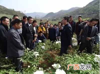 如何赚钱农业发家致富？做农业赚钱的九大绝招
