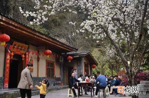 在农村现在做什么生意赚钱？农村利润都很高的十个赚钱商机