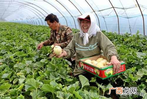 在农村现在做什么生意赚钱？农村利润都很高的十个赚钱商机