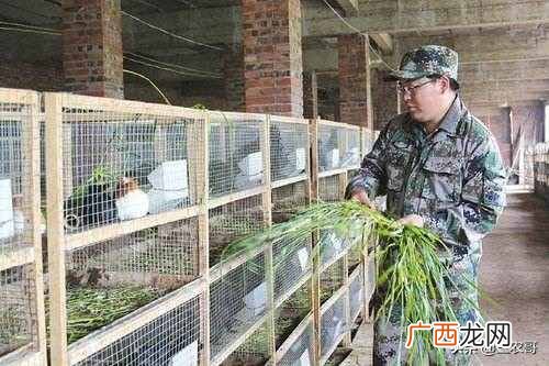 在农村现在做什么生意赚钱？农村利润都很高的十个赚钱商机