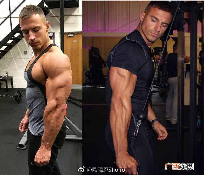 肱三头肌锻炼方法？肱三头肌增肌训练最好的3个动作