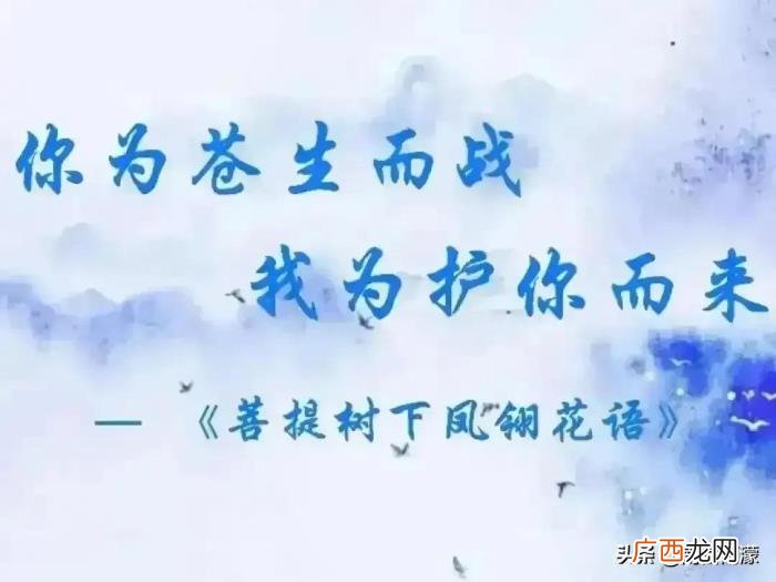 花絮 枕上书花絮，枕上书改编64如南对云胡心生好感