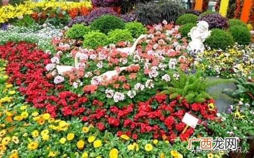 花园种花赚钱？如何靠养花赚钱？