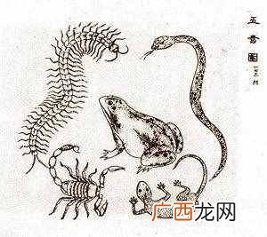 端午来历？一口气搞懂端午节的由来