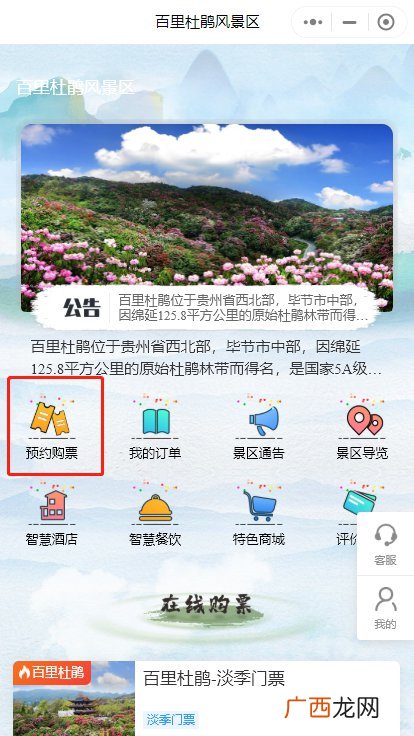 花期+购票指南 2022年百里杜鹃景区游览指南