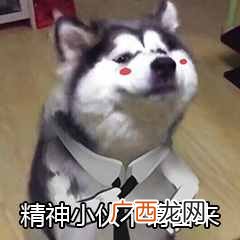 照片压缩？图片压缩的3种方法！