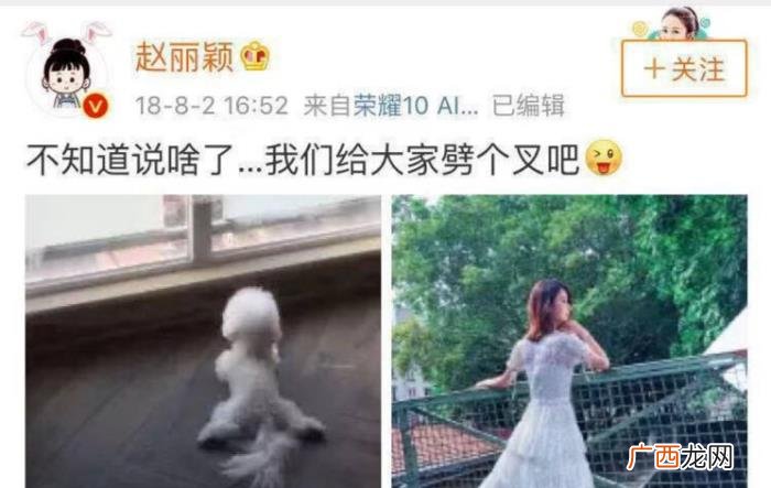 赵丽颖元旦，冯绍峰赵丽颖元旦官宣怀孕却被网友称败好感