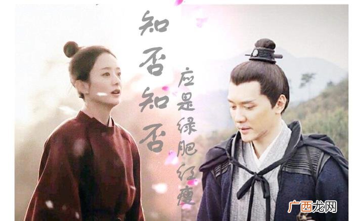 赵丽颖元旦，冯绍峰赵丽颖元旦官宣怀孕却被网友称败好感