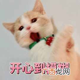 赚钱兼职？分享5个兼职赚钱的网站