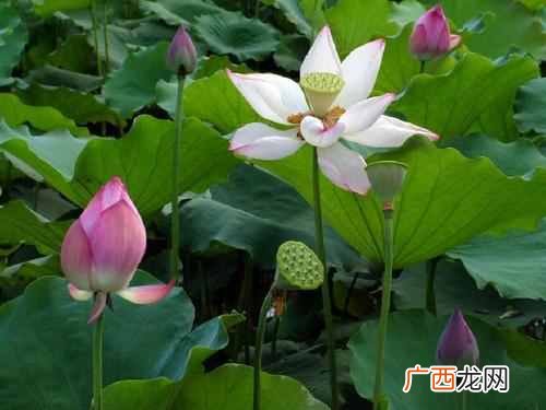 钱女人？钱，对一个女人来说有多重要