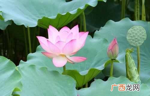 钱女人？钱，对一个女人来说有多重要
