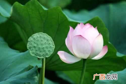 钱女人？钱，对一个女人来说有多重要