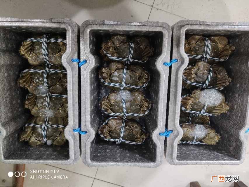代理赚钱吗?当下最容易赚钱行业
