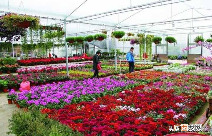 赚钱生意做什么？18个适合小本创业的赚钱生意