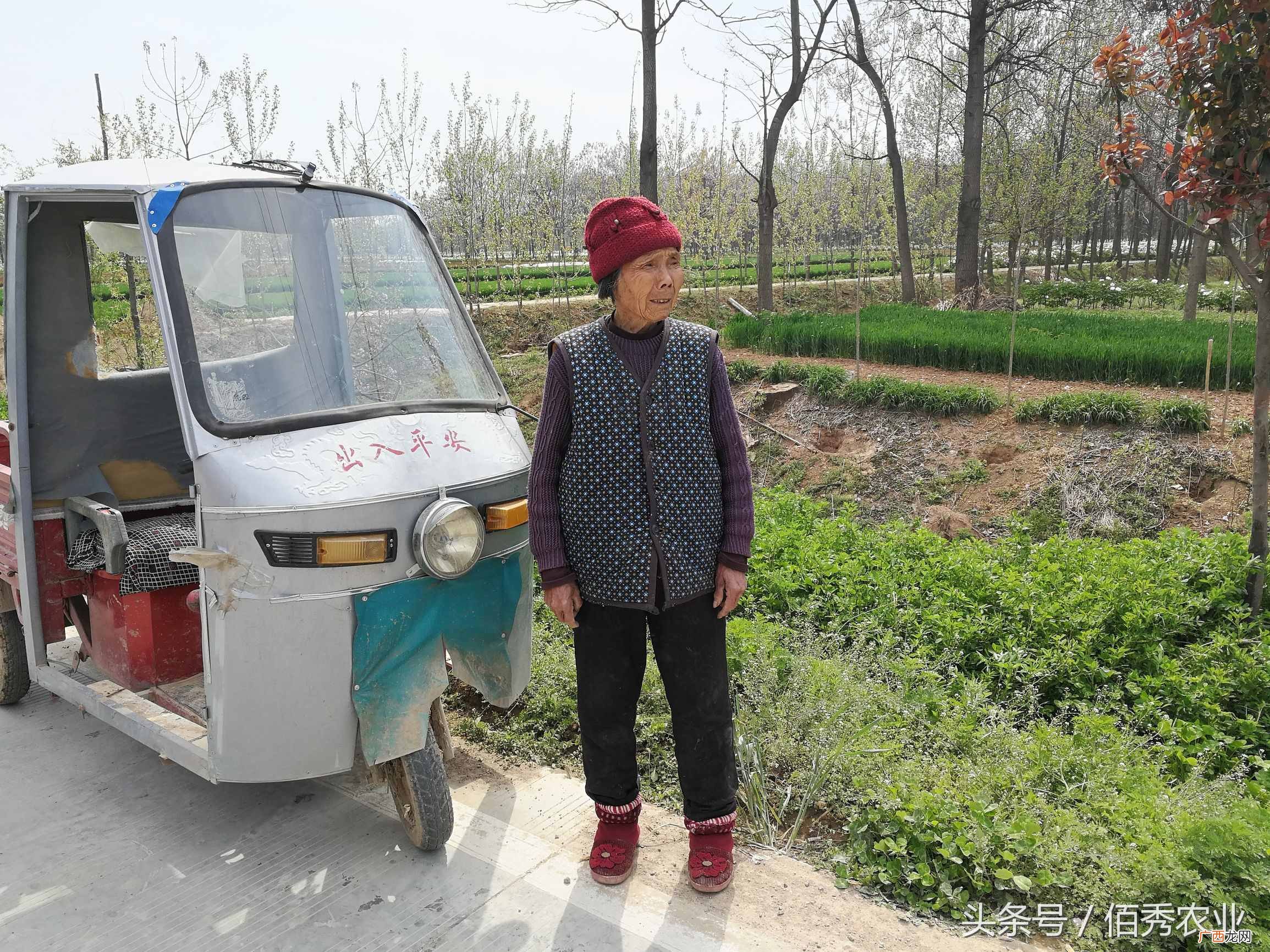 赚钱图？8张农村老人挣钱图片，有你熟悉的身影吗？