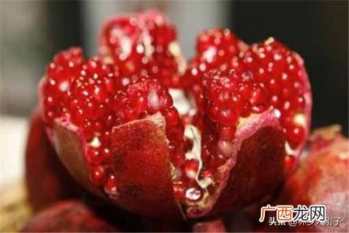 种植赚钱?2020年种植什么最赚钱?