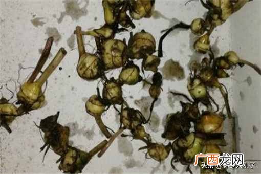 种植赚钱?2020年种植什么最赚钱?