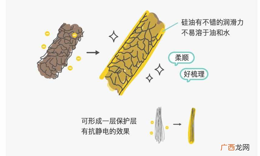 洗发水品牌？洗发水哪个牌子好？