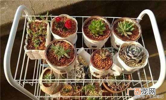 自动赚钱？全自动赚钱，日赚800实操案例
