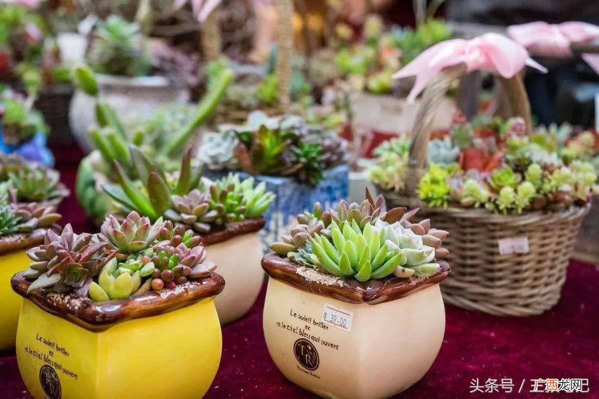 自动赚钱？全自动赚钱，日赚800实操案例