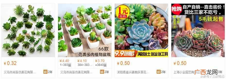 自动赚钱？全自动赚钱，日赚800实操案例