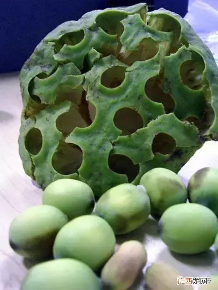 花店必学的分手花束 和男朋友分手了送什么花
