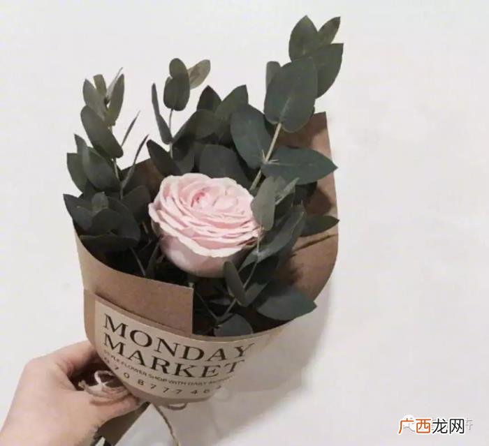 花店必学的分手花束 和男朋友分手了送什么花