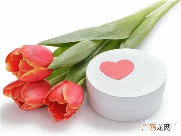 蓝色玫瑰代表什么？什么是蓝色玫瑰