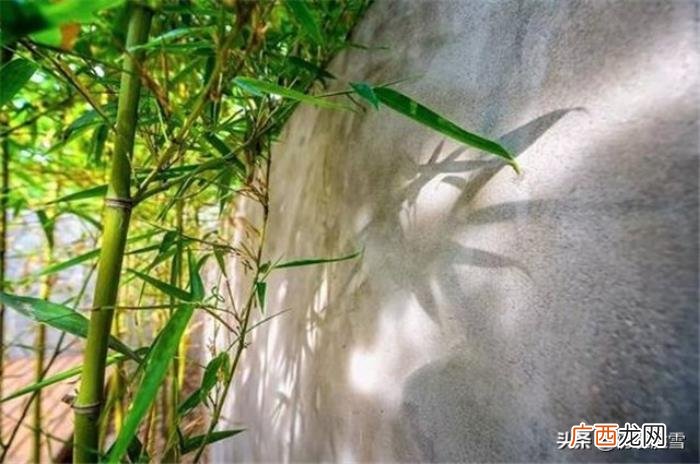 还有这样来形容太阳的 形容太阳